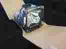 Cps-1215rms Plc-xu31 2751 Cyberpower Sanyo Projector Lamp Plc-xu32 Plc-xu33 Plc-xu35 610 293