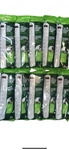 10X Greenlite Power Strips Tier Advanced 7 Outlet Surge Protectors Lot Of. Fixed Price $69.99.