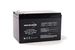 PS12P-12 Power Kingdom Replacement Sla Battery (12V 12AH). Fixed Price $27.99.