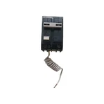Eaton GFTCB220 20A 2-POLE Gfci Circuit Breaker With Hagf Plug-on Pigtail. Fixed Price $59.99.