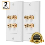 Fosmon 2 Pack Gold Plated Speaker Wall Plate, Home Theater Audio. Fixed Price $18.49.