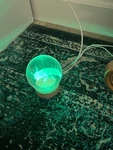 Led Color Changing Clear Globe Animal Night Light Usb Powered Freestanding. Fixed Price $13.32.