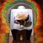 Vintage Crystal Boutique Water Globe Psychic Witch Flower Display Aquarium Vase. Fixed Price $74.99.