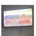 Orion Vizio V-series V435-H11 24IN Lcd 720P Hd Flat Screen Tv Black. Fixed Price $62.50.