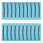 SKRNRHRERY2S Balance Plug Extension CORD20 Pcs Battery C.... Fixed Price $14.50.
