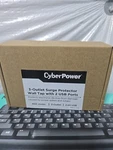 CSP300WUR1 Professional Surge Protector, 600J/125V, Outlets, Usb Charge P.... Fixed Price $30.00.