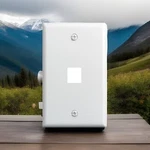 Lot Of 5 Legrand Port Gang Keystone Wall Plate White F3401-WH-V1 On-q Face. Fixed Price $28.00.