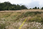 Photo A2 Bull Wood Power Lines Hurlet This Strip Of Grassland Runs C2006. Fixed Price $47.10.