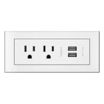 Legrand RDZWH10 Radiant Furniture Power Center With Usb, Recessed Strip.... Fixed Price $114.92.