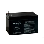 Bright Way Group BW12120NB Volt Amp Hour Terminal Battery. Fixed Price $39.99.